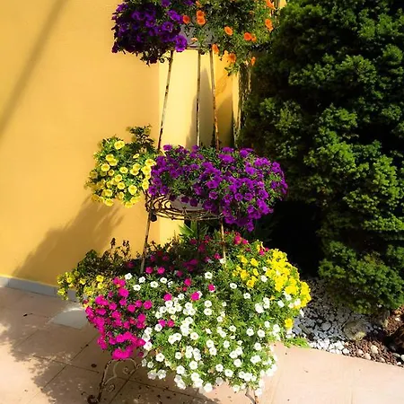 Bed & Breakfast Le Pinette 3*