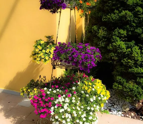 Bed & Breakfast Le Pinette 3*