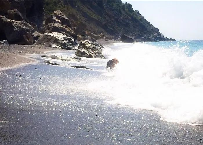 Bed & Breakfast Le Pinette