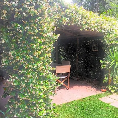 Le Pinette Bed & Breakfast Ameglia