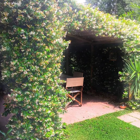 Le Pinette 住宿加早餐酒店 3*