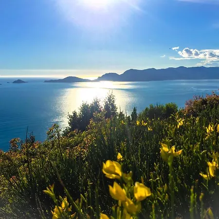 Le Pinette 阿梅利亚