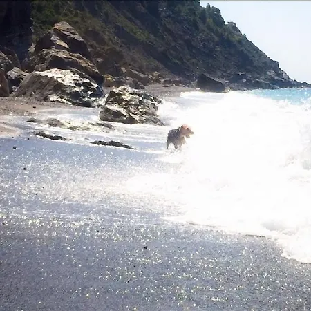 住宿加早餐酒店 Le Pinette