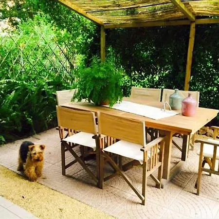 Le Pinette 阿梅利亚