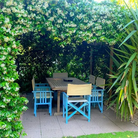 Le Pinette 阿梅利亚